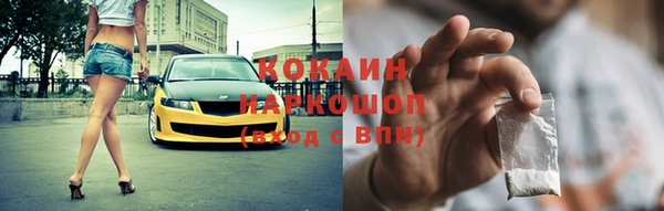 твердый Гатчина