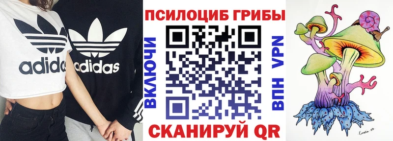 Галлюциногенные грибы MAGIC MUSHROOMS  Красноперекопск 