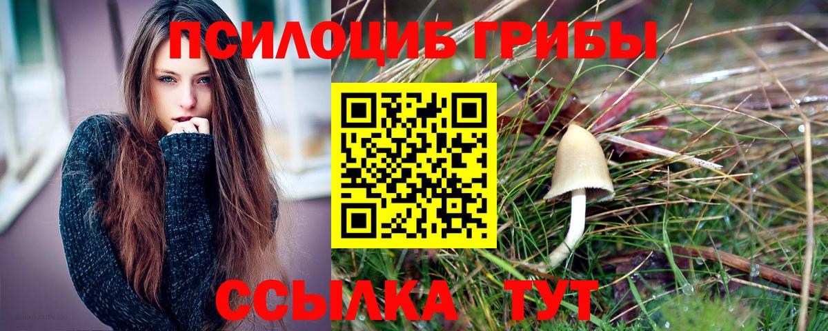 Красноперекопск  Псилоцибиновые грибы прущие грибы  Вход с VPN 