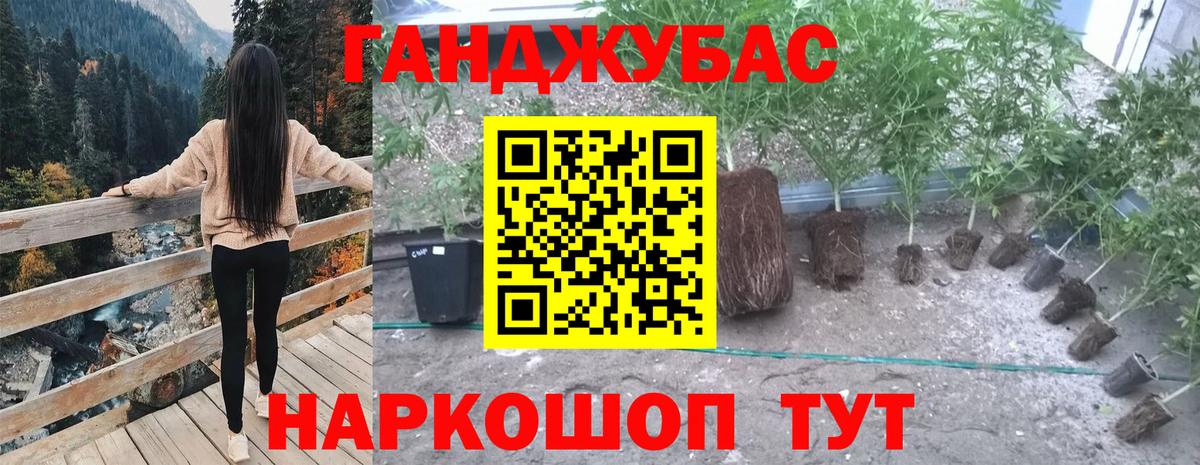 Красноперекопск  Бошки марихуана OG Kush  Вход с VPN  Конопля план  МАРИХУАНА тримм 